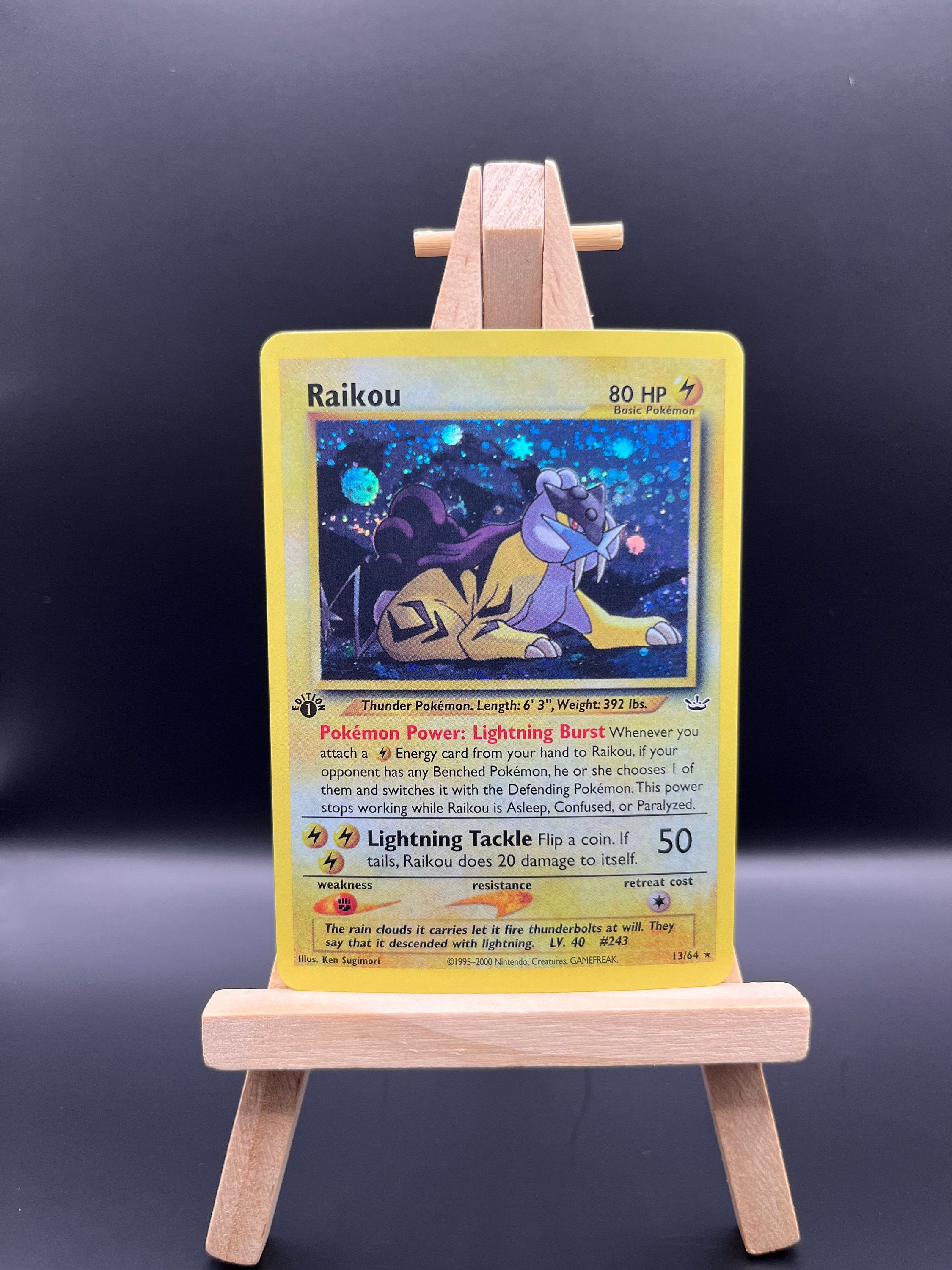 Pokemon Raikou outlet 13