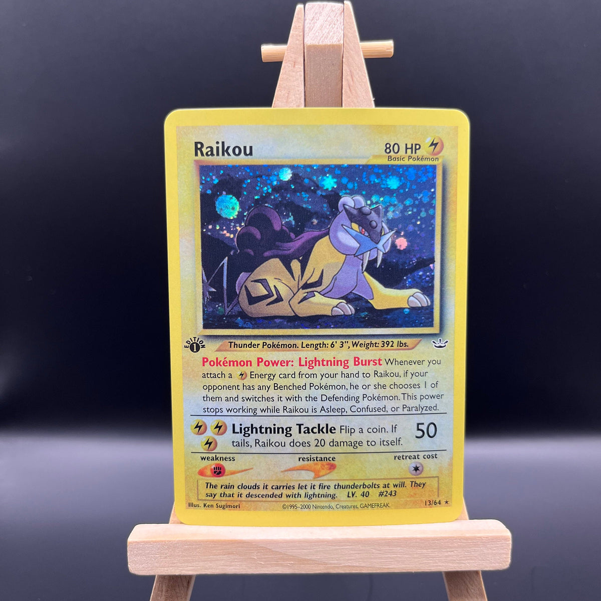 Raikou (13)