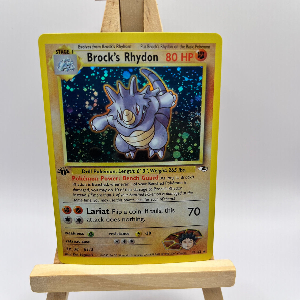 Brock's Rhydon