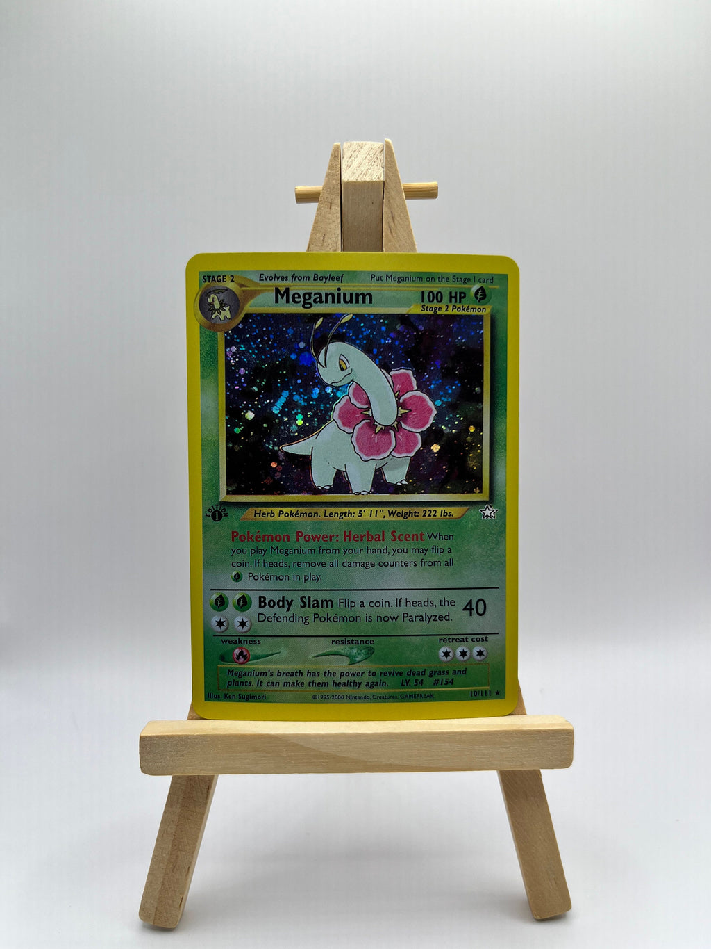 Meganium (10)