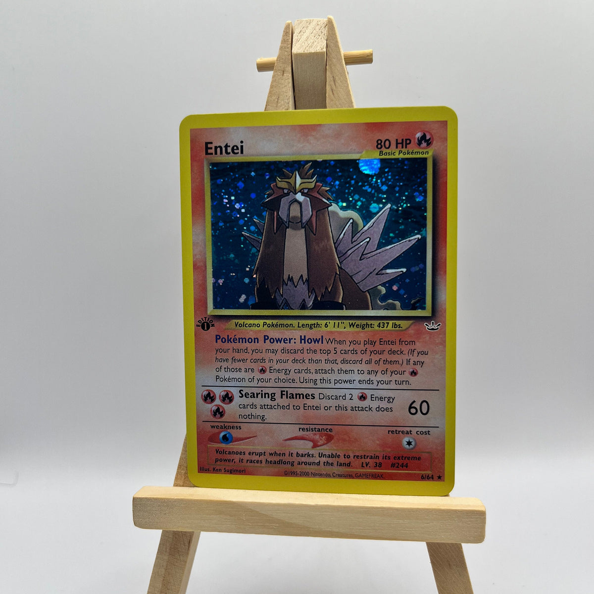 Entei (6)